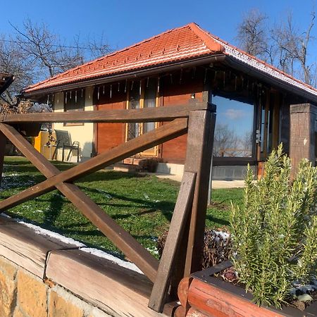 Apartmani Lunija Gornji Milanovac Eksteriør billede